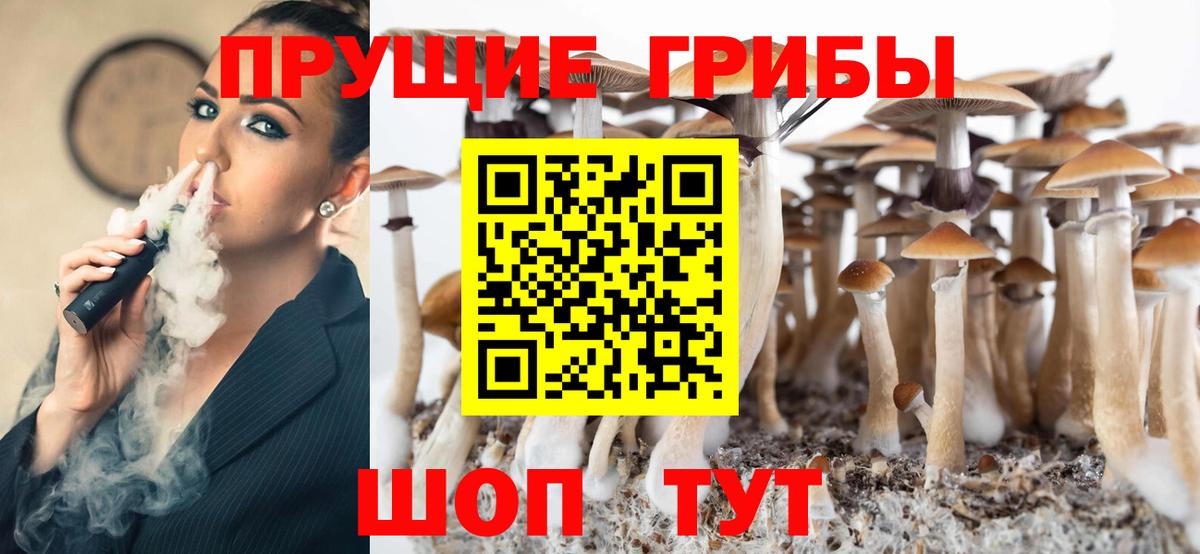 Псилоцибиновые грибы Cubensis  Вход с VPN  Похвистнево 